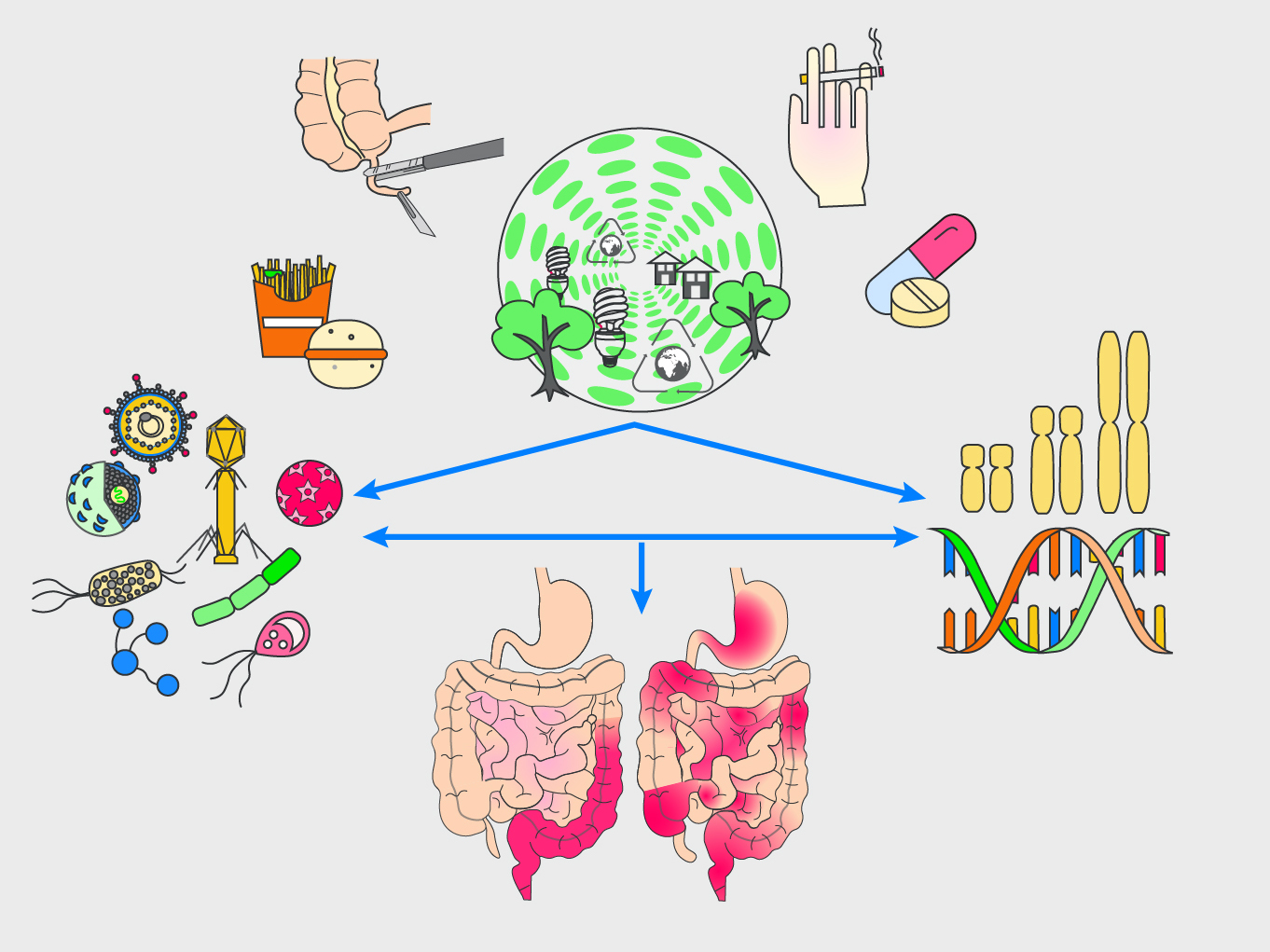 IBD epidemiology & aetiology